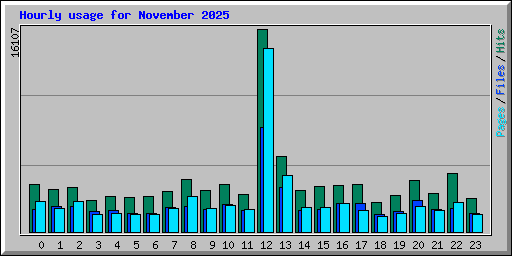 Hourly usage for November 2025